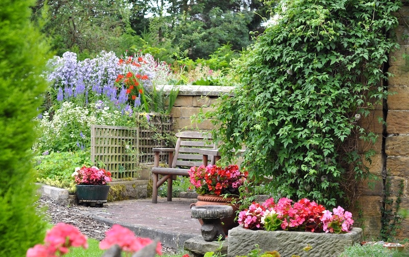 in-the-backyard-beautiful-flowers-garden-wooden-2021-08-30-09-04-10-utc