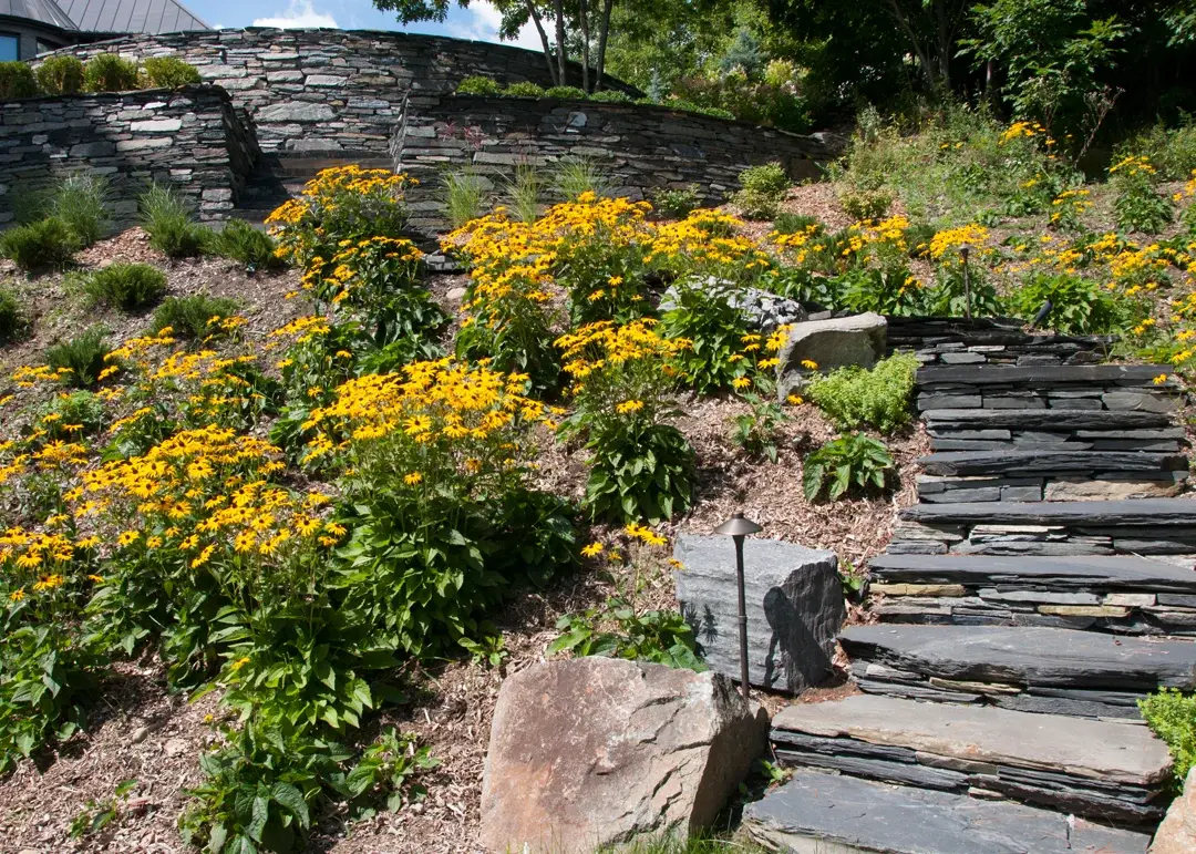 amenagement-escalier-pierre-plantation