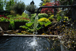 Robinet d’eau et bassin au milieu d’un jardin